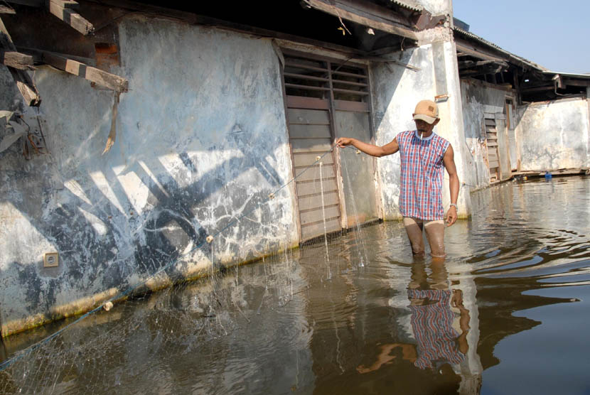  Seorang warga menjala ikan dalam genangan air banjir rob di kawasan Penjaringan,Jakarta Utara,Ahad (22/7).  (Agung Fatma Putra/Republika)