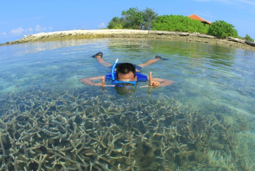 Seorang wisatawan tengah menikmati keindahan kehidupan bawah laut. Indonesia memang dikenal memiliki potensi wisata bahari yang tinggi (ilustrasi)