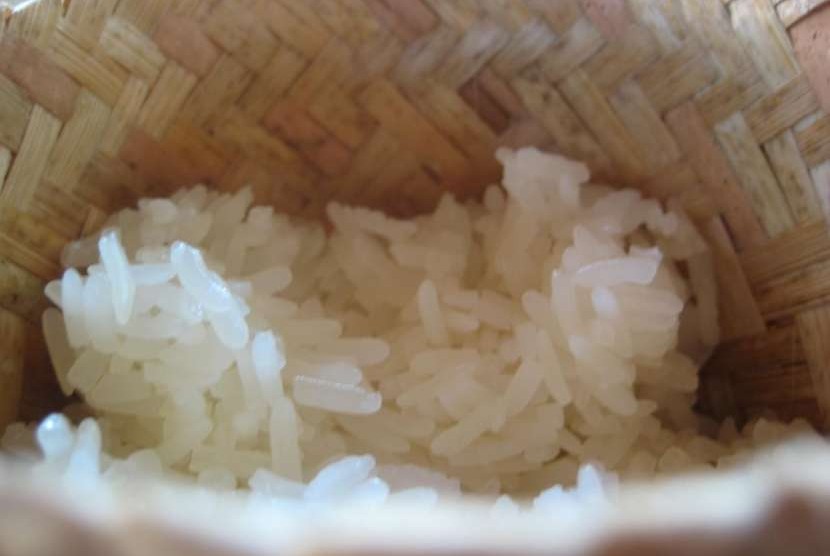 Sepiring nasi putih.
