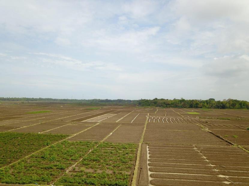 Pemerintah Provinsi Sumatra Selatan mengajak masyarakat memanfaatkan lahan 