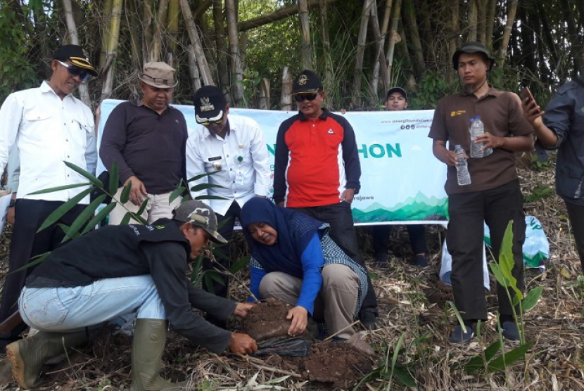 Sinergi Foundation mengadakan penanaman bibit bambu di Gunung Pabeasan Desa Putrajawa Kecamatan Selaawi Kabupaten Garut, Jawa Barat pada Rabu, (28/3).