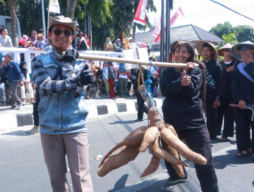 Singkong berbobot 50 kilogram dihasilkan oleh petani milenial di Kabupaten Kuningan. 