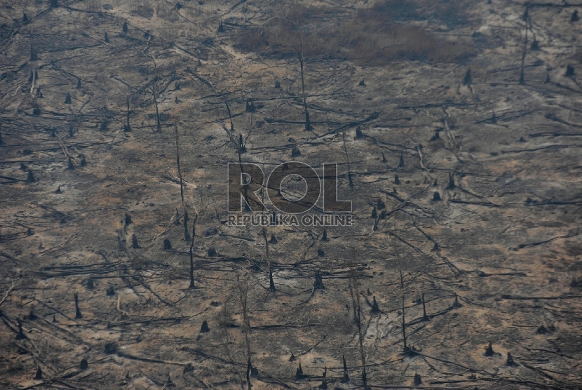 Sisa bekas kebakaran lahan di wilayah Cengal, Ogan Komering Ilir, Sumatera Selatan, Jumat (6/11). Republika/Edwin Dwi Putranto