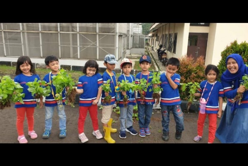 Siswa KB-TK Bosowa Bina Insani diajari mengenal, menanam, memanen dan belanja  tanaman sayur dan buah.
