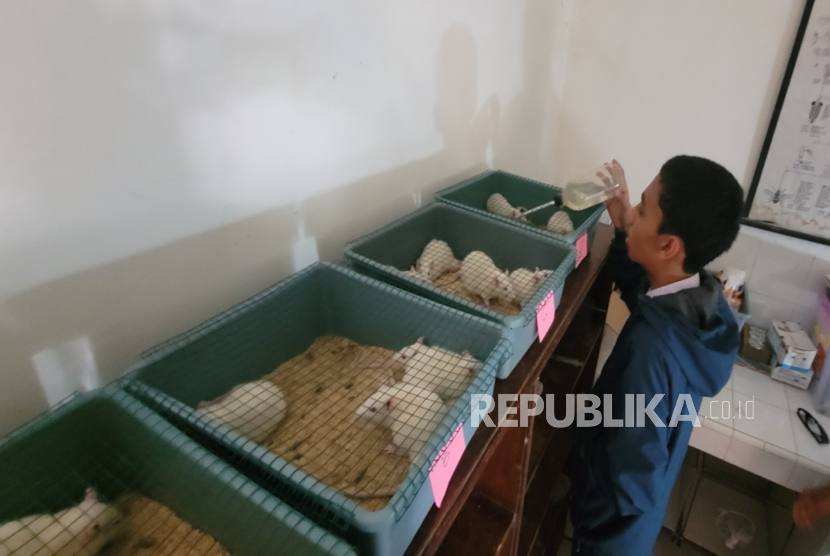 Teliti Rempah Bisa Kurangi Dampak Antibiotik, Antarkan Siswa SMP di Bandung ke Final Nasional