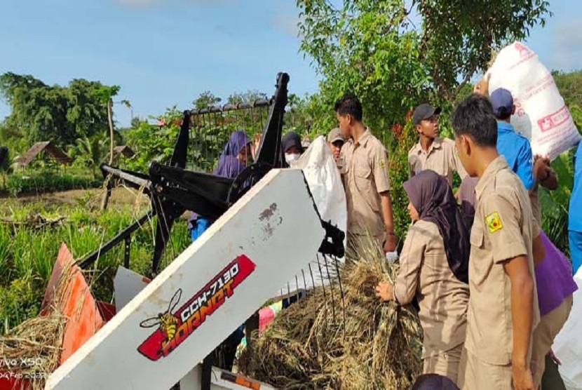 Siswa SMK PPN Sembawa bersemangat lakukan perontokan dengan combine harvester sehingga mereka mencintai dunia pertanian seperti diharapkan Mentan Syahrul Yasin Limpo dan Kepala BPPSDMP Dedi Nursyamsi.