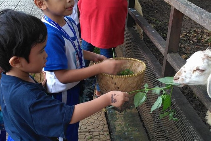 Siswa TK Bakti Mulya 400 mengunjungi Kuntum Farm Field, Bogor.