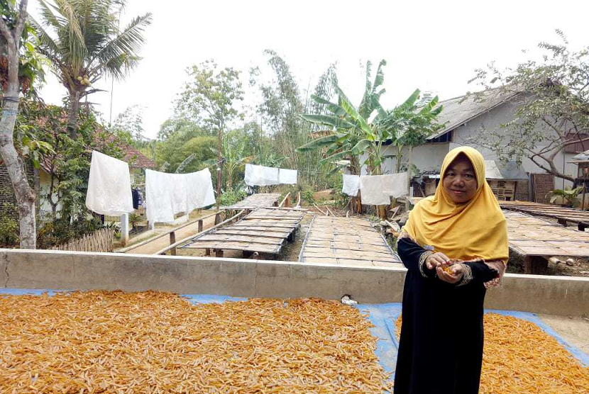 Amartha fokus pada 410 ribu pengusaha UMKM. Foto Siti Muslimah mitra binaan Amartha, (ilustrasi).