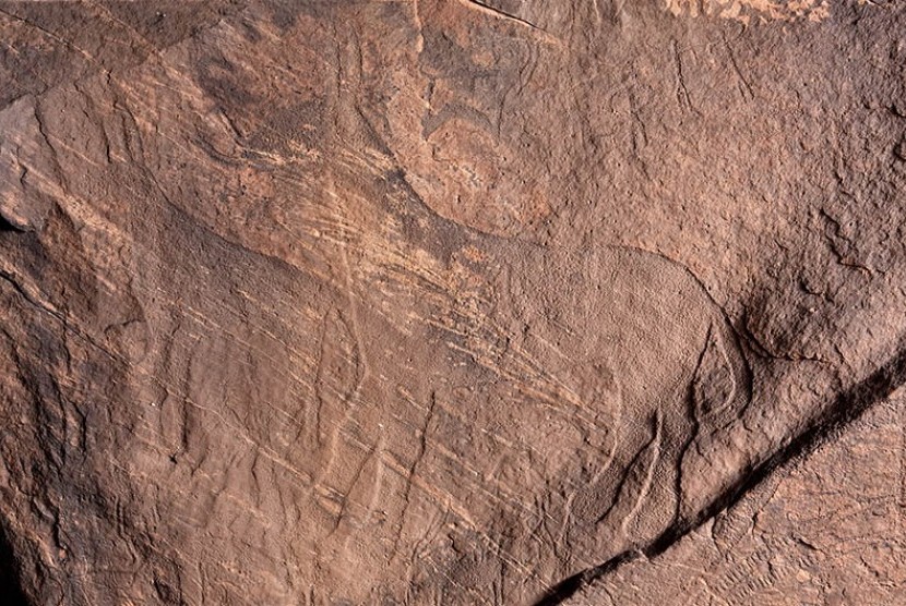Situs Neolitik Jubbah, Arab Saudi. 
