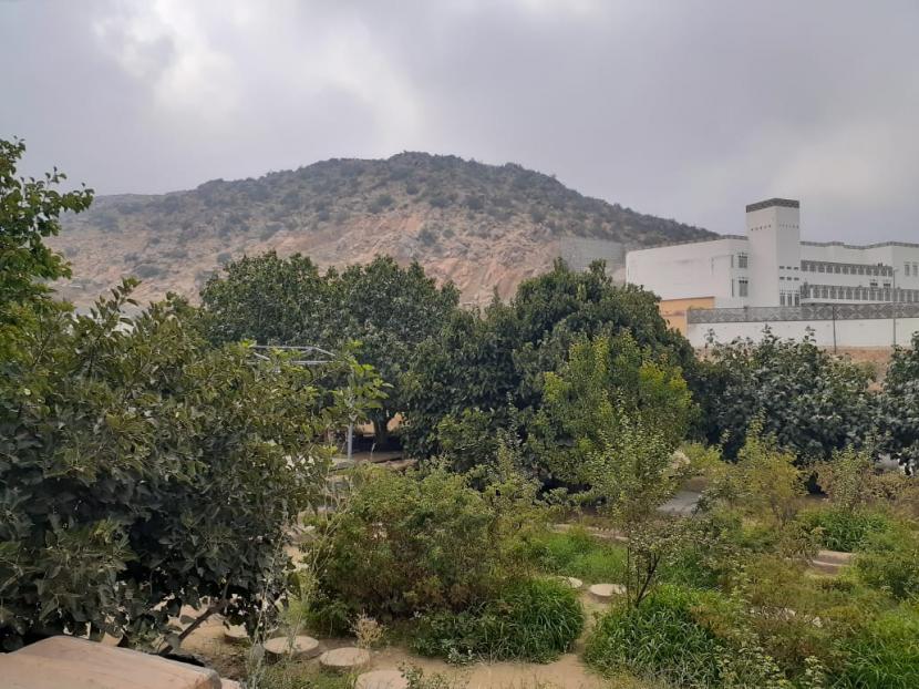 Situs Ziarah yang Bisa Dikunjungi di Taif. Foto: Salah satu perkebunan yang ada di Taif. 