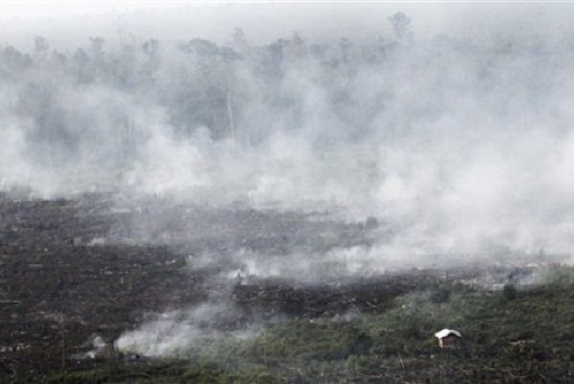 Smoke billows during a forest fires in Pelalawan, Riau province, Indonesia, as seen in this file photo on June 27, 2013. 