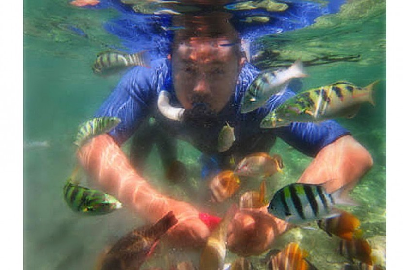 Snorkeling di Taman Laut Bunaken sambil bercengkrama dengan ikan-ikan cantik. 