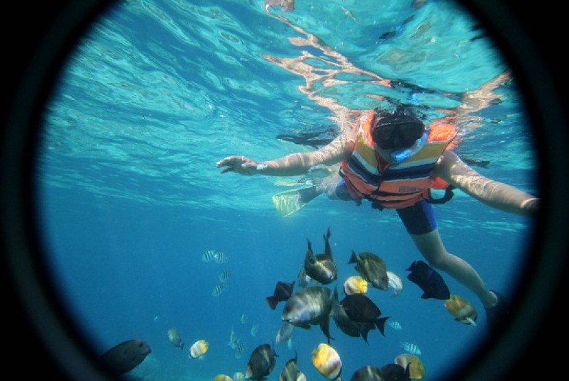 Snorkling in Gili Trawangan, North Lombok, West Nusa Tenggara. (iilustration)  