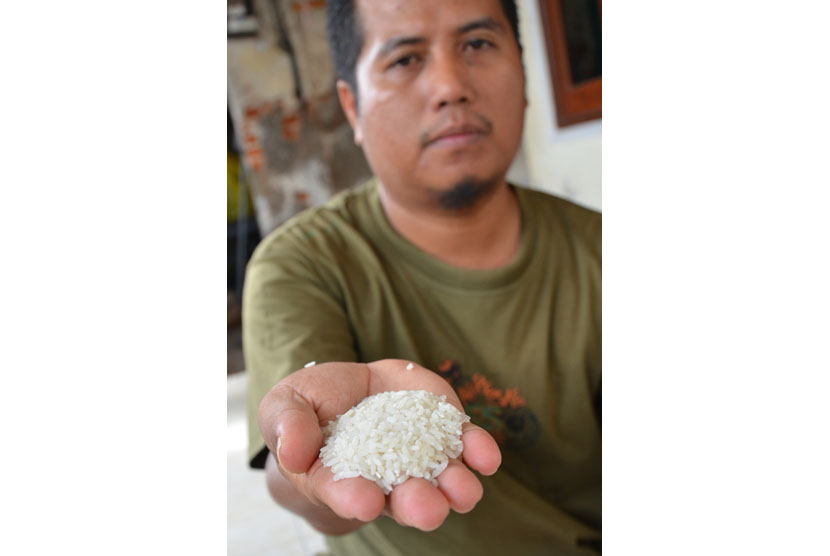 Sofyan (37) menunjukkan beras yang diduga beras plastik di kelurahan Dasan Agung, Mataram, NTB, Selasa (26/5).