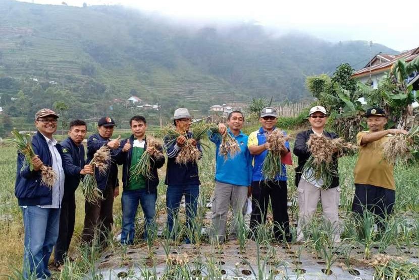 Solok jadi kawasan bawang merah berbasis korporasi