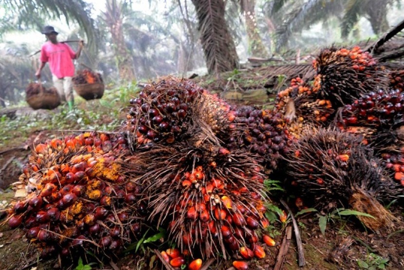 Some workers harvest in a palm plantation. (illustration)  