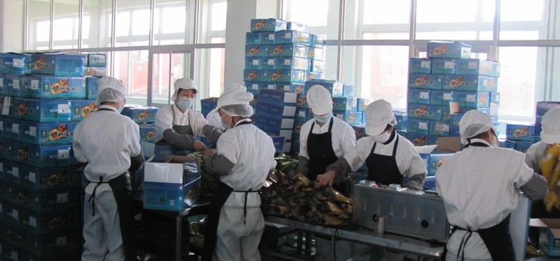 Some workers pack food product in a factory in China. Some discrepancies are found on data of bilateral trade between Indonesia and China. (illustration)  