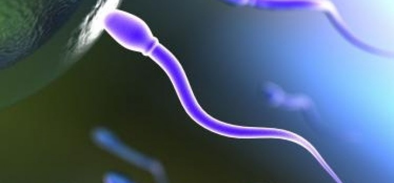  Sperma (ilustrasi)