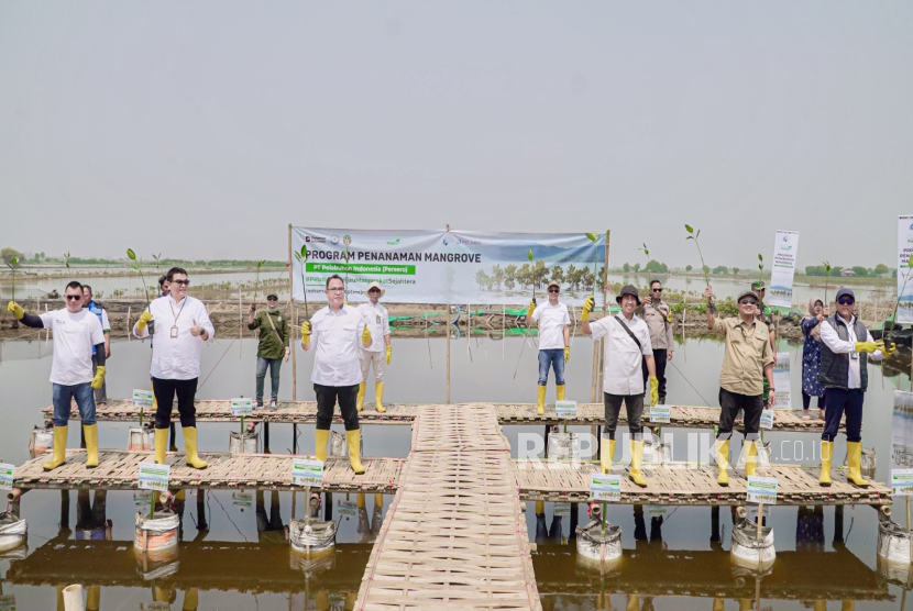 SPSL Perkuat Ekosistem Karbon Biru Lewat Rehabilitasi Mangrove