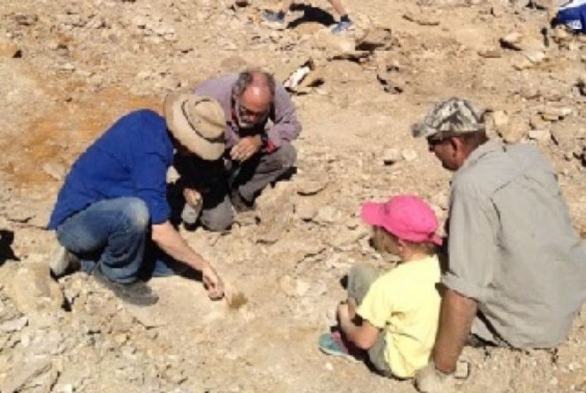 Staf museum memeriksa tulang dari Wilson the ichthyosaur sesaat setelah ditemukan.