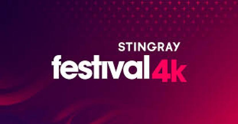 Stingray Festival 4