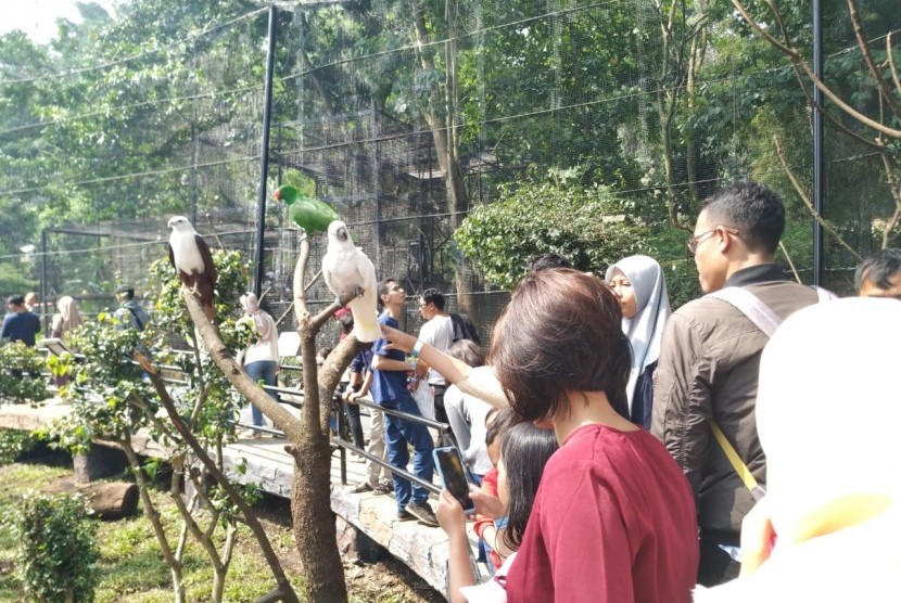 Suasana Bandung Zoo, Jalan Tamansari, Kota Bandung, Kamis (6/6). 