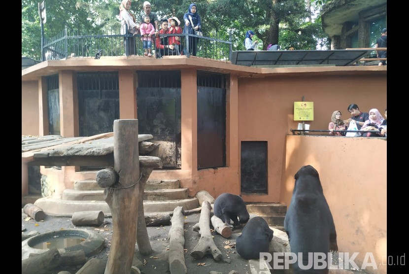 Suasana Bandung Zoo, Jalan Tamansari, Kota Bandung, Kamis (6/6)