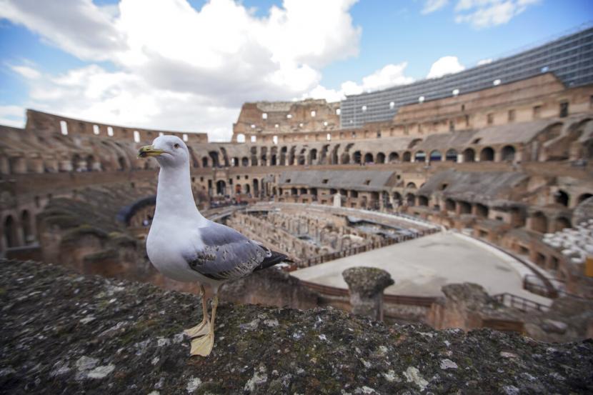 Suasana Colosseum di Roma, Italia, yang sepi pengunjung pada Sabtu (7/3). Virus corona yang menyebar cepat di Italia menyebabkan turunnya jumlah kunjungan ke negara tersebut.