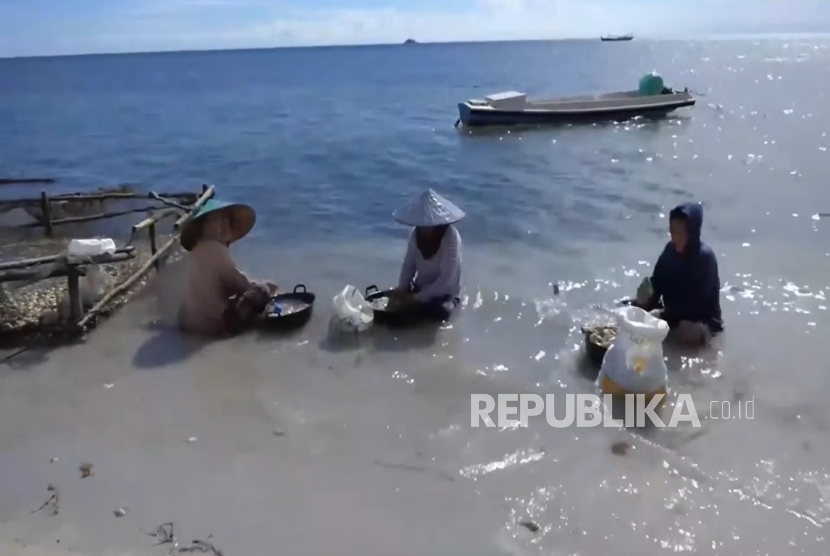 Suasana Desa Belitung.