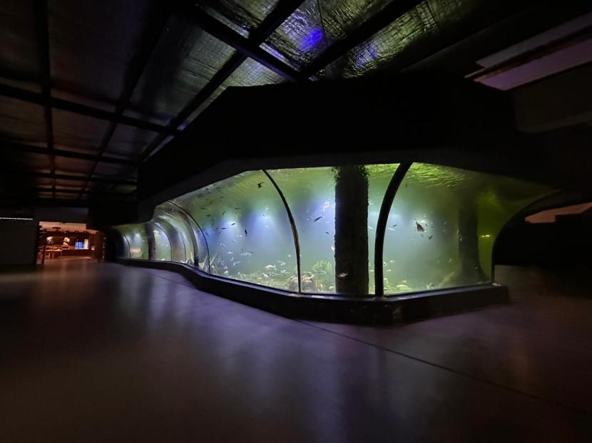 Suasana di Aquarium Indonesia Pangandaran, Kecamatan Pangandaran, Kabupaten Pangandaran. Tempat itu akan mulai dibuka untuk publik pada Sabtu (17/12/2022). 
