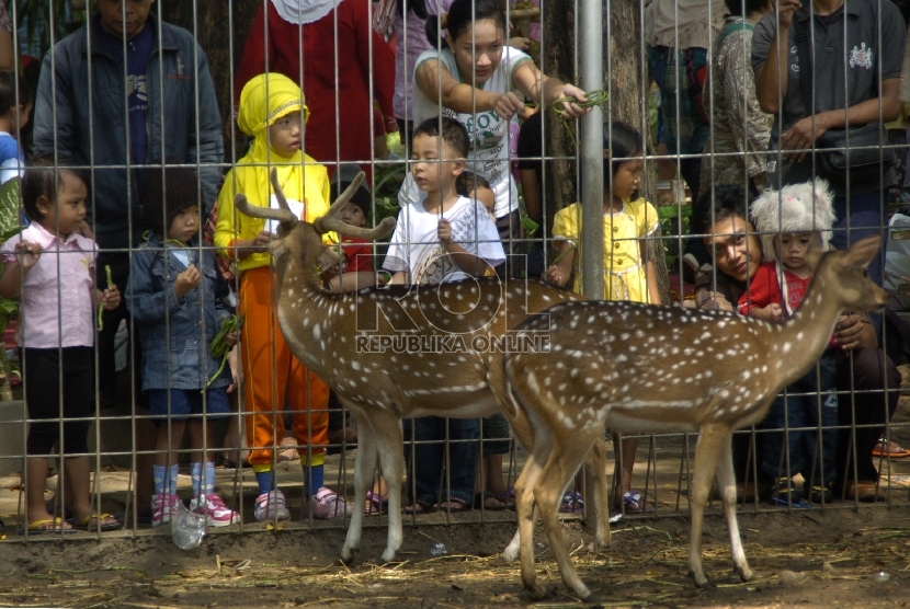 Suasana di Taman Flora Kebun Bibit Bratang, Surabaya.