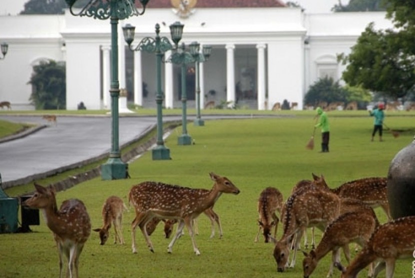 Suasana Istana Bogor.