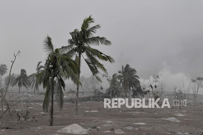 Suasana kawasan terdampak material guguran awan panas letusan Gunung Semeru di Desa Sumberwuluh, Kecamatan Candipuro, Kabupaten Lumajang, Jawa Timur, Senin (6/12/2021). 
