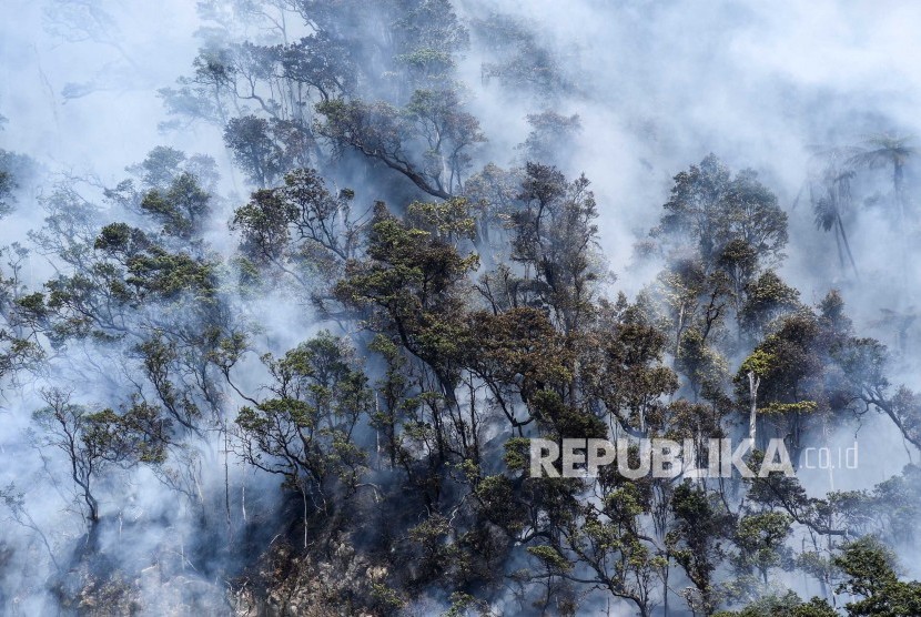 Suasana kebakaran hutan dan lahan (karhutla) di kawasan Kawah Putih, Kecamatan Pasirjambu, Kabupaten Bandung.