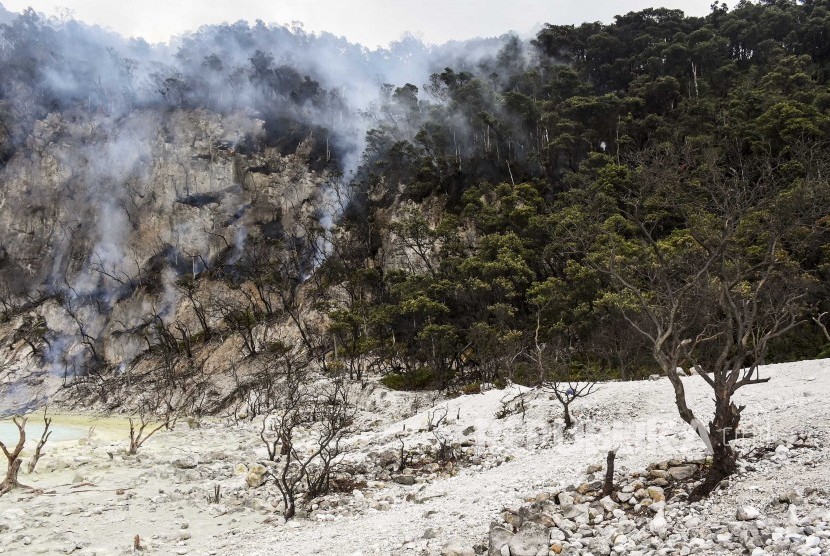 Suasana kebakaran hutan dan lahan (karhutla) di kawasan Kawah Putih, Kecamatan Pasirjambu, Kabupaten Bandung, Selasa (8/10). 