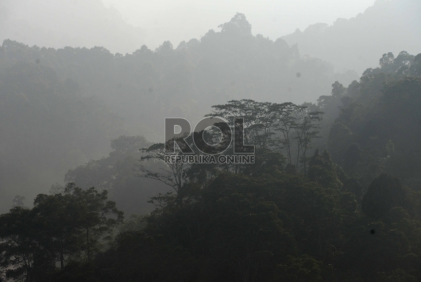  Suasana pagi di Taman Nasional Gede Pangrango, Jawa Barat.