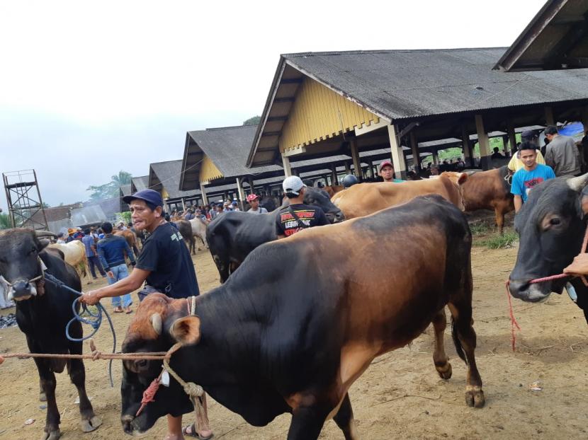 Suasana Pasar Hewan Manonjaya, Kabupaten Tasikmalaya, Rabu (8/7). 