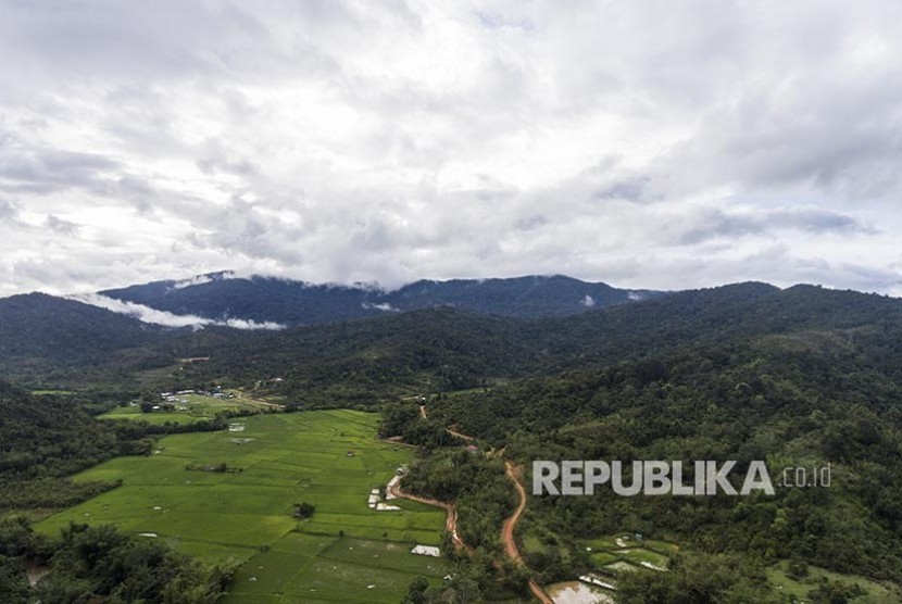WNI Asal Sulsel Tertahan 9 Bulan di Sabah karena Covid-19. Suasana pegunungan dan hamparan sawah di desa Long Midang, Krayan, Kabupaten Nunukan, Kalimantan Utara.