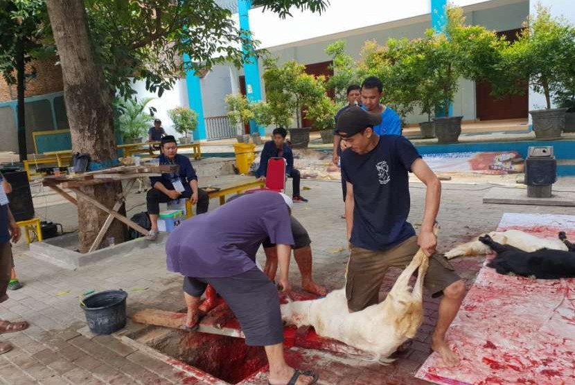 Suasana pemotongan hewan kurban di Global Islamic School, di kawasan Condet Jakarta Timur.