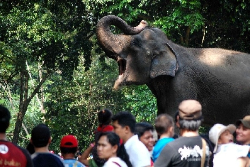 Suasana pengunjung Taman Marga Satwa Ragunan, Jakarta Selatan, Selasa (29/7).