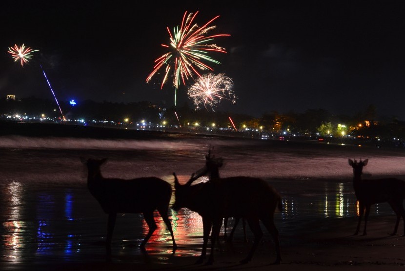 Suasana Pesta kembang api pada malam tahun baru di Pesisir Pantai Pangandaran, Jawa Barat, Selasa (1/1/2019).
