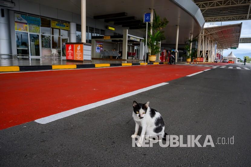 Palu Izinkan Warga Mudik Lebaran dengan Pembatasan. Suasana terminal kedatangan Bandar Udara Mutiara Sis Aljufri, Palu, Sulawesi Tengah.