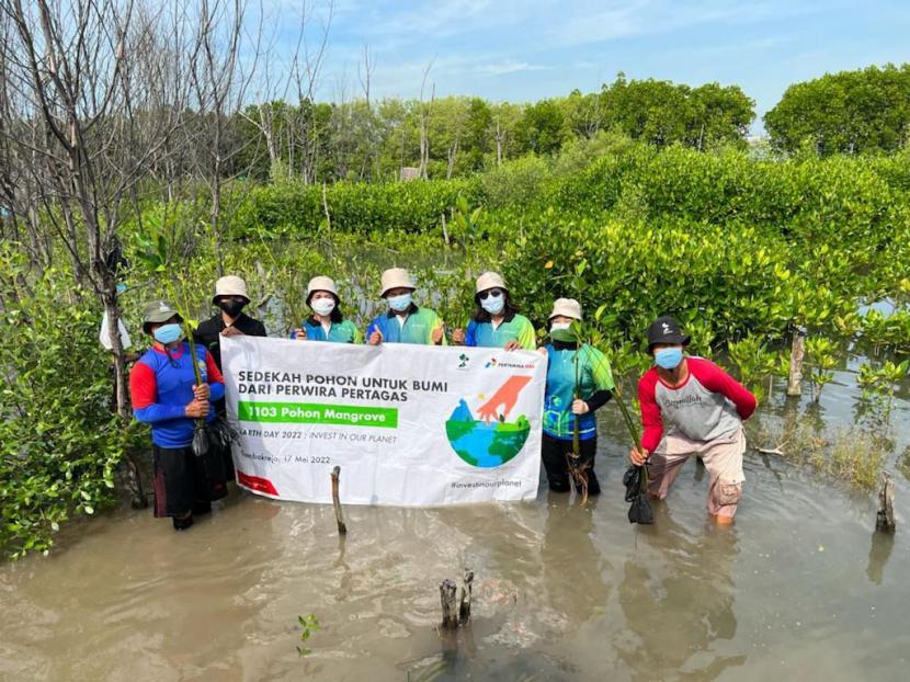 Subholding Gas Pertamina melalui afiliasi PT Pertamina Gas (Pertagas) mewujudkan kegiatan tanggung jawab sosial dan lingkungan yang berkelanjutan melalui penanaman 1.103 bibit Mangrove di pesisir Tambakrejo, Semarang. 