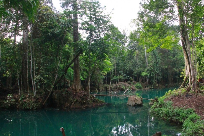 Sugai Nyadeng Kampung Merabu