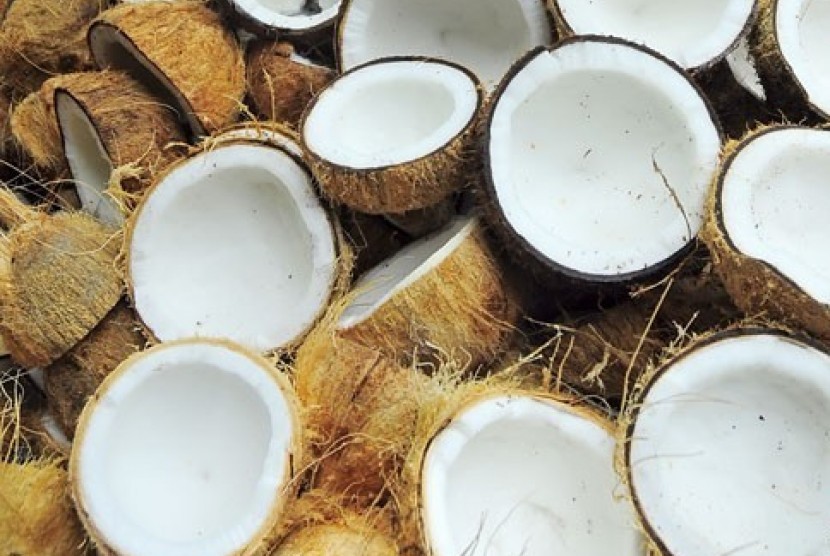 Sulut ekspor tepung kelapa ke Eropa.