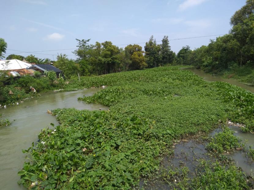 Sungai Cipelang yang melintasi Desa Pranggong, Kecamatan Arahan, Kabupaten Indramayu, mengalami pendangkalan parah, Senin (18/7/2022). Luapan air sungai itupun menyebabkan banjir yang kerap menggenangi rumah warga dan bangunan sekolah di desa tersebut.