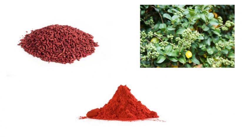 Suplemen herbal dari bahan alami untuk menjaga kadar kolesterol dalam darah (ilustrasi).