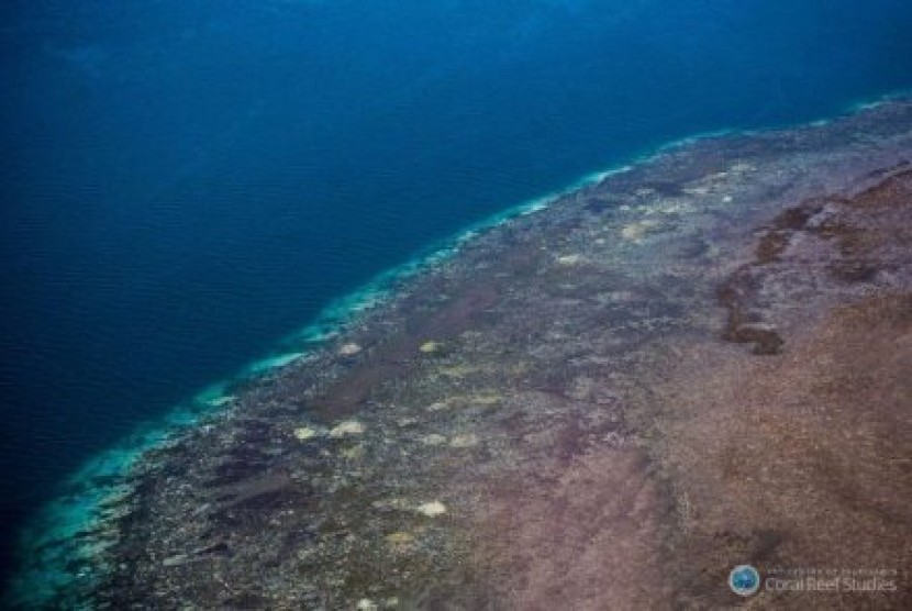 Survei udara mendapati pemutihan karang di Cape Grenville di Utara Queensland. 