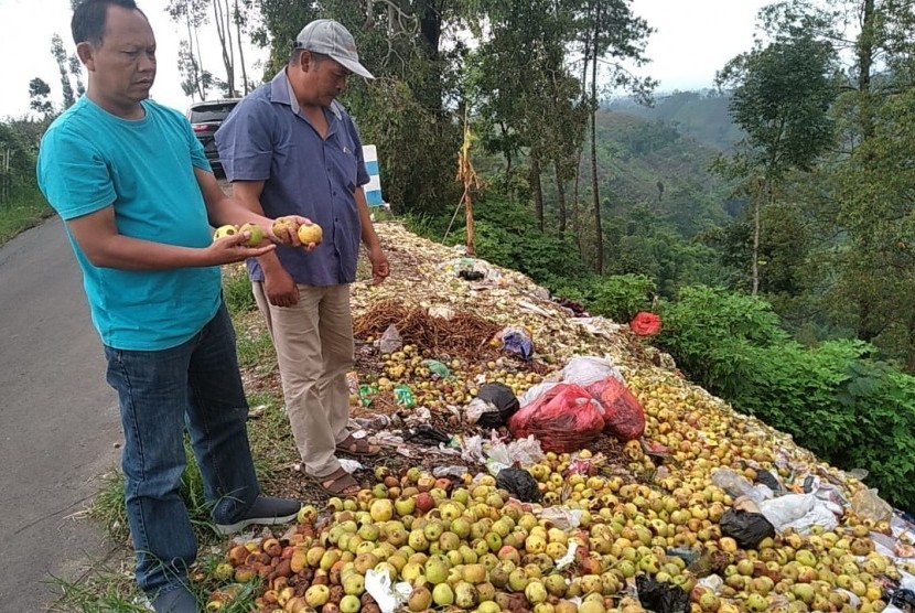 Susilo, pedagang buah apel Malang membuang apel busuk ke pinggir jalan.