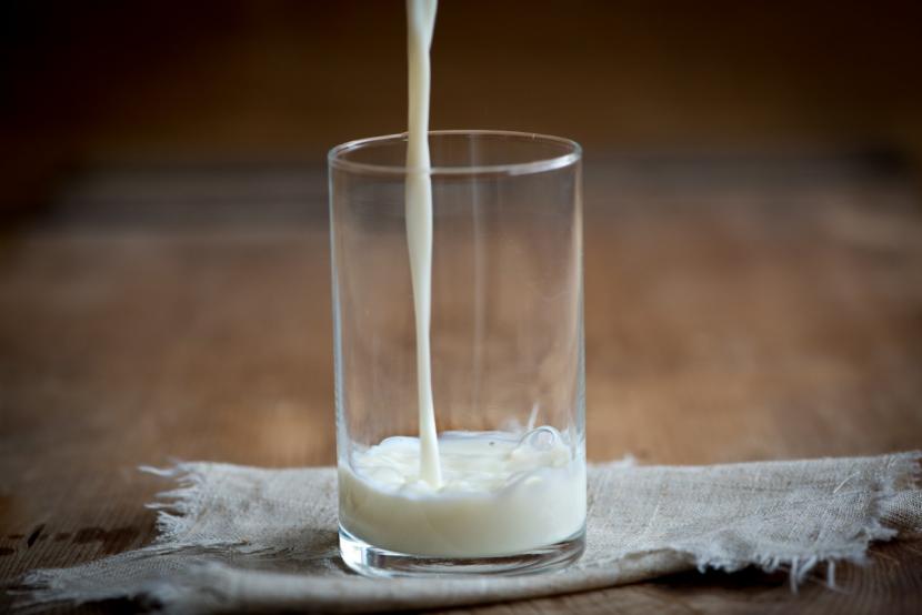 Susu (Ilustrasi). Susu termasuk protein hewani yang paling tinggi kandungan gizinya.